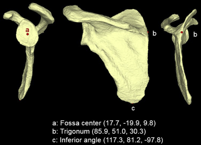 Figure 1