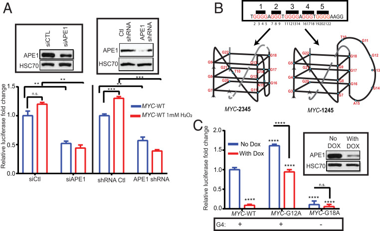 Fig. 6.