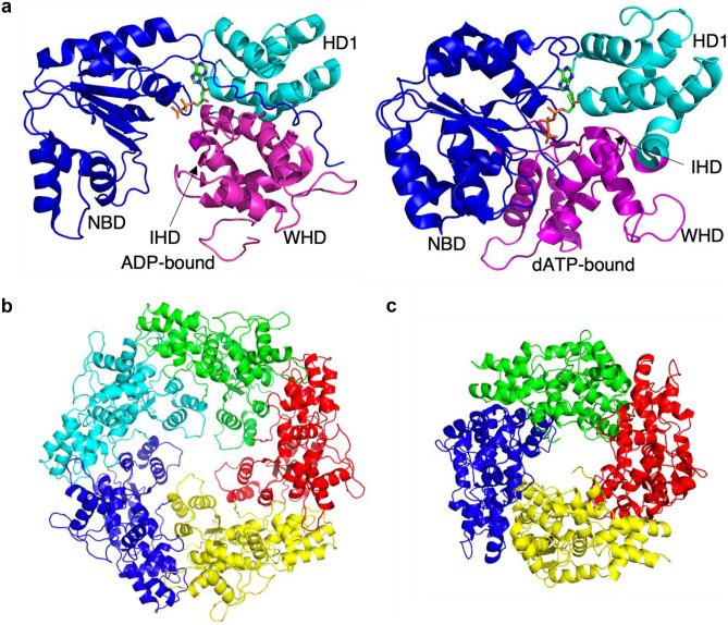 Fig. 3