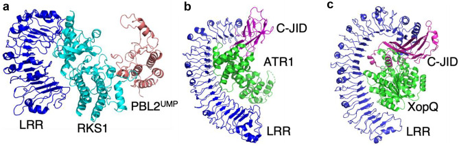 Fig. 2