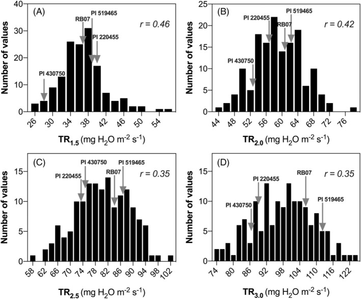 FIGURE 3