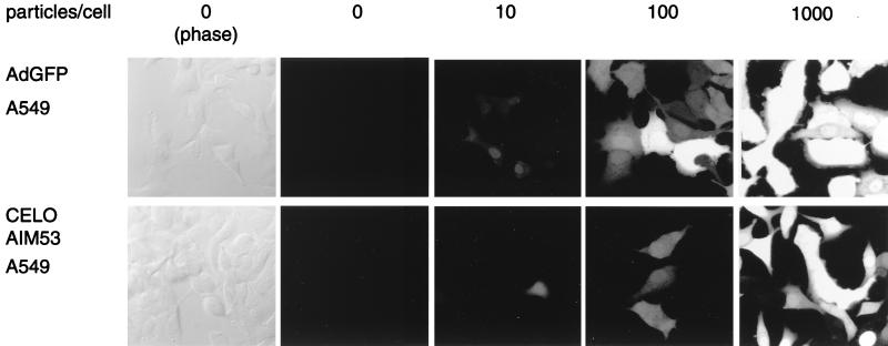 FIG. 8