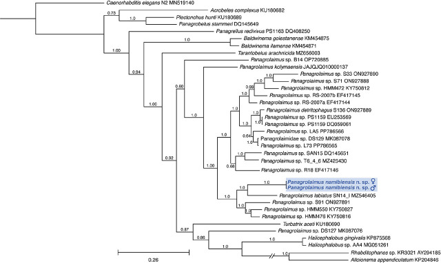 Figure 6: