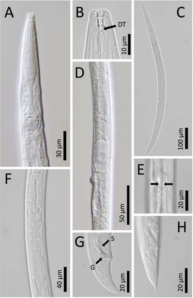 Figure 3: