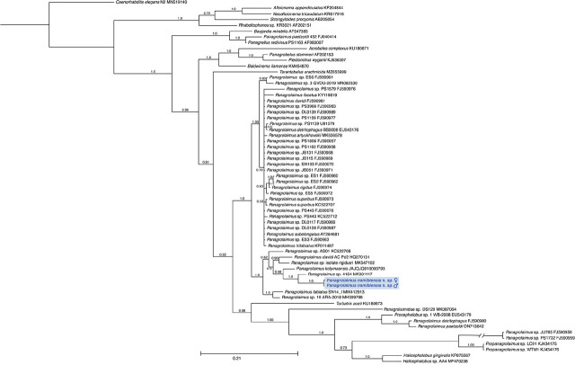 Figure 5: