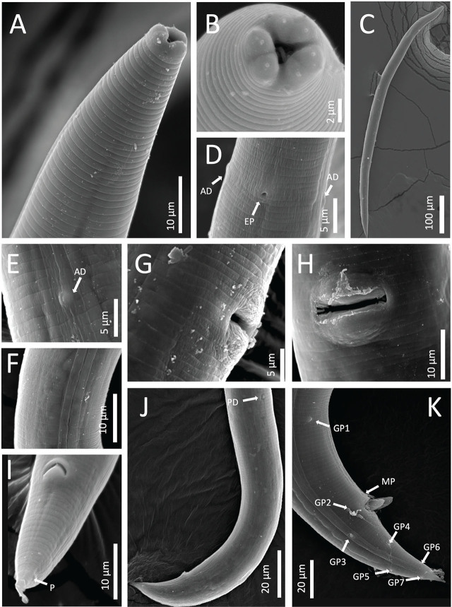 Figure 4: