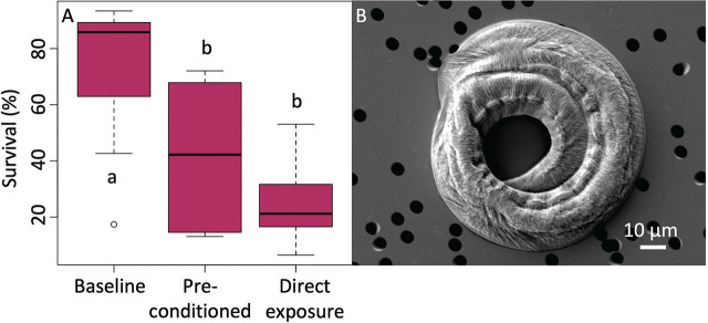 Figure 7: