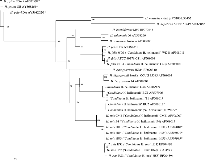 FIG. 2.