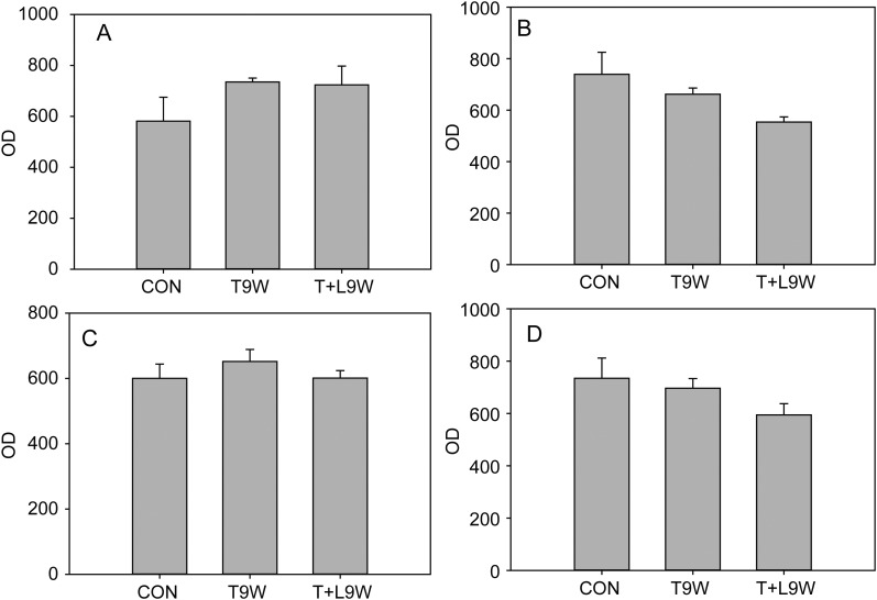 Figure 6