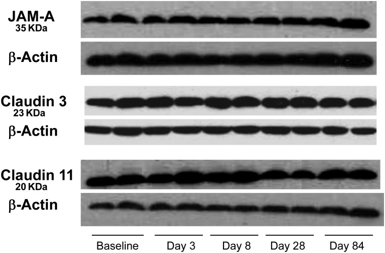 Figure 7