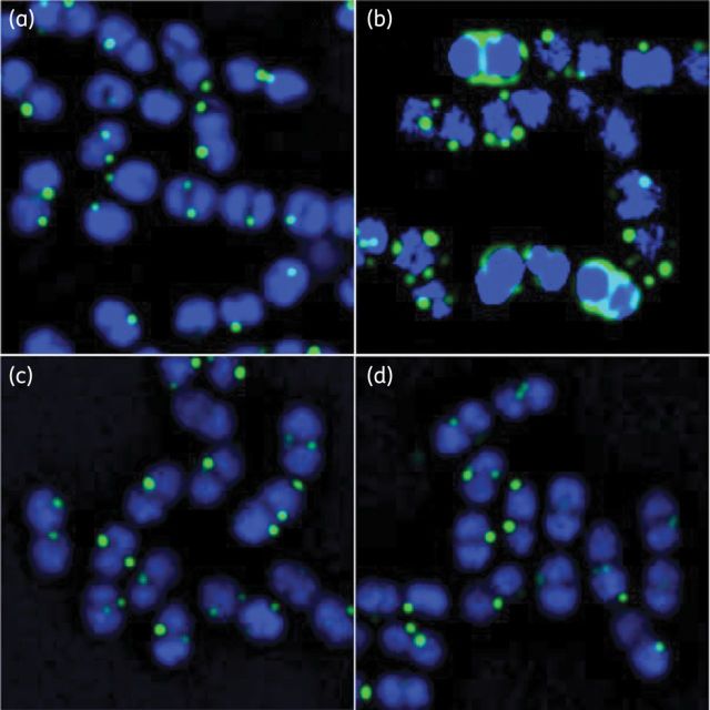 Figure 3.