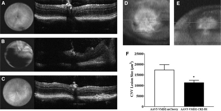 Figure 5