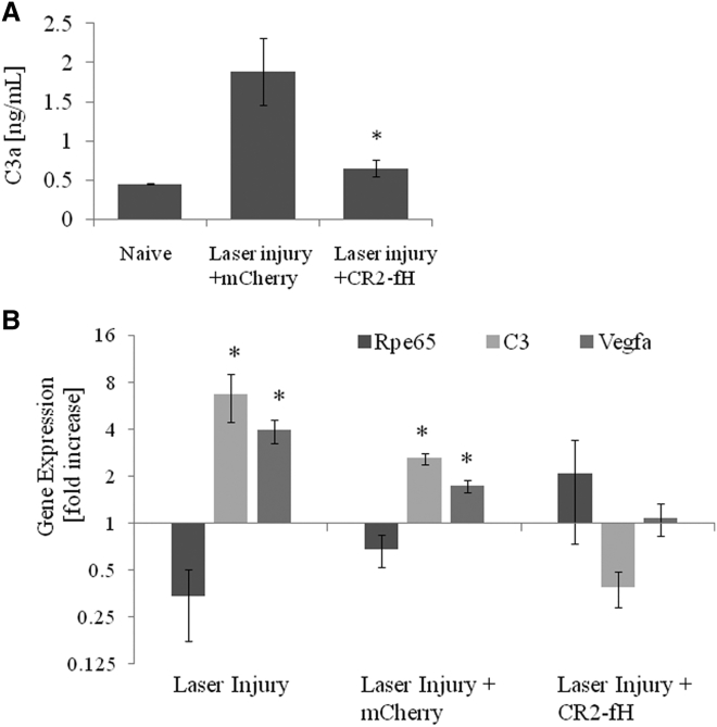 Figure 6