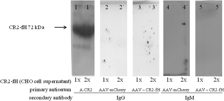 Figure 4