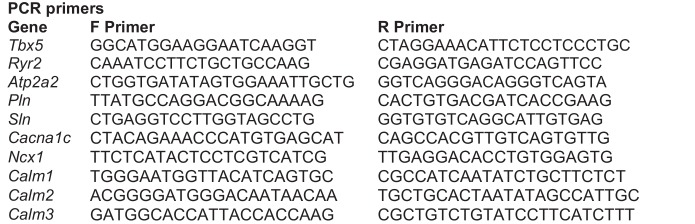 Figure 1—figure supplement 1.