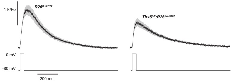 Figure 4—figure supplement 1.