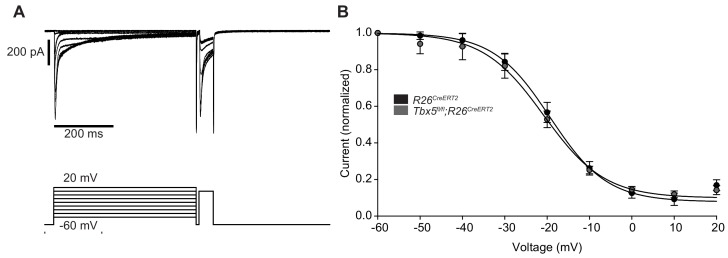 Figure 2—figure supplement 2.