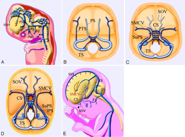 Fig 8.