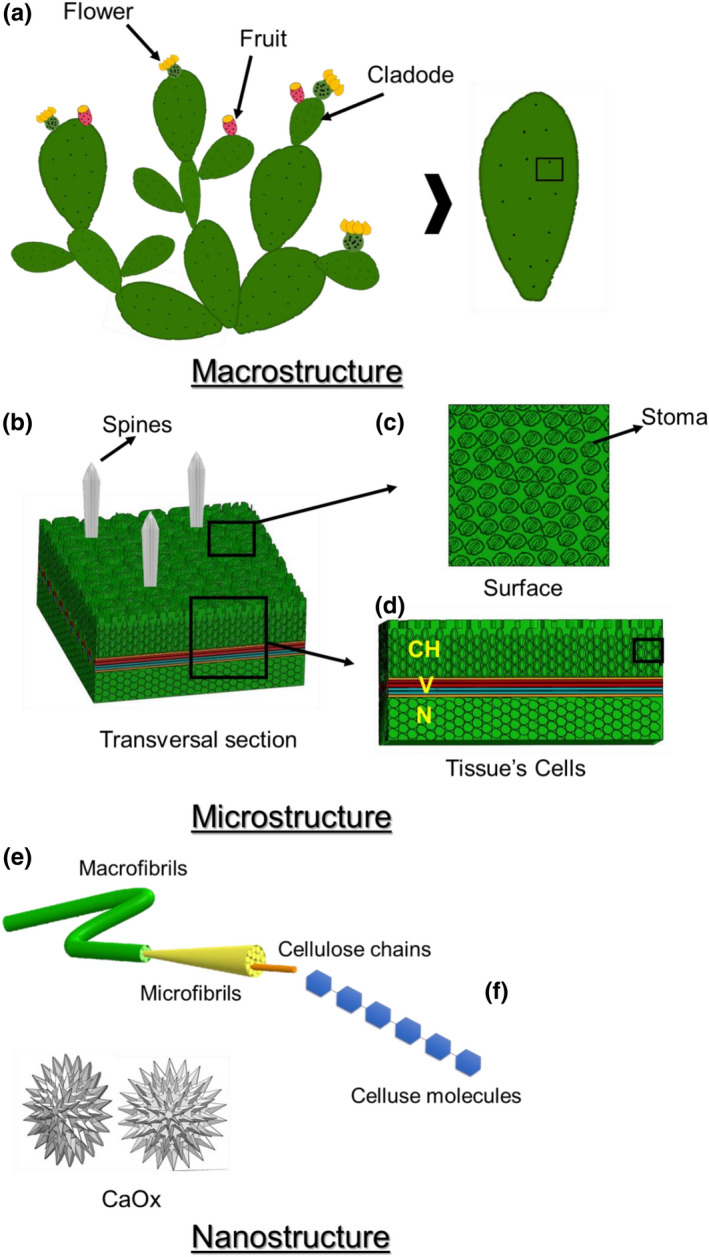 FIGURE 1