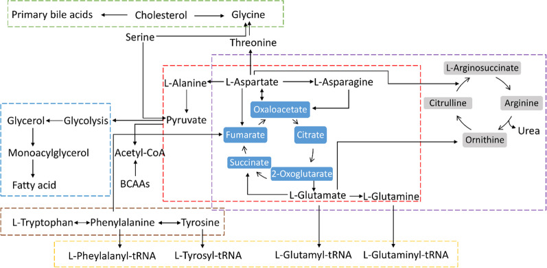 Fig. 6