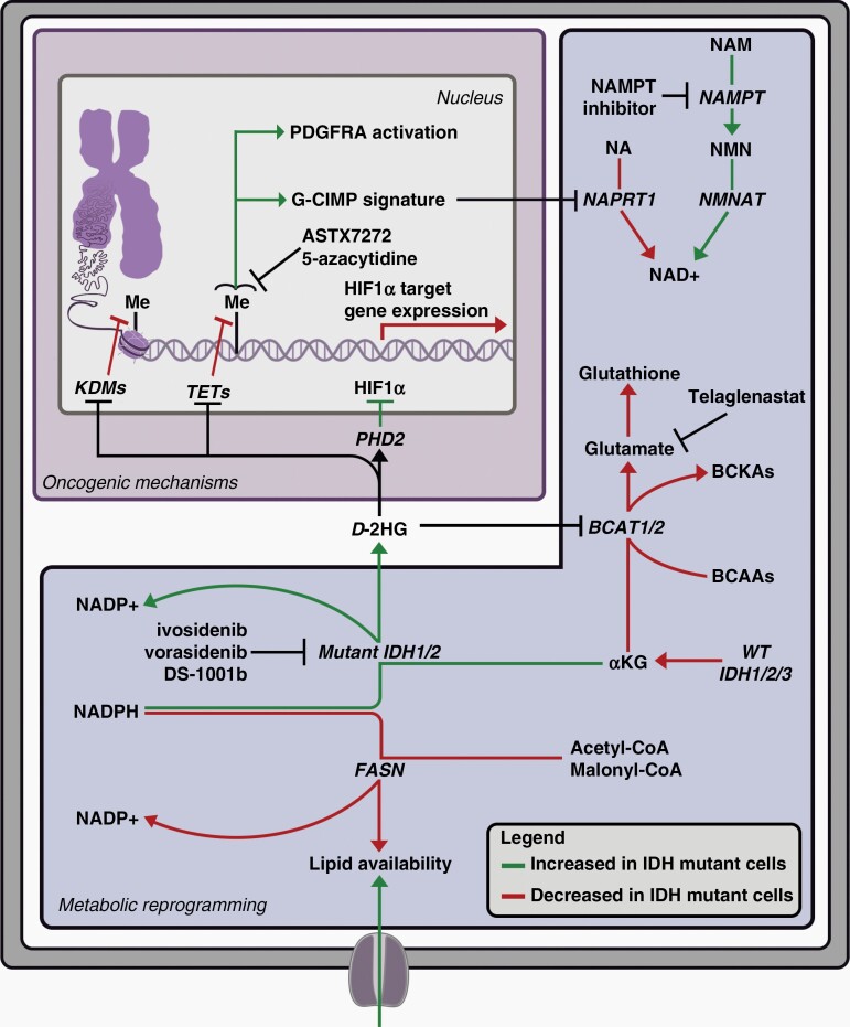 Figure 7.