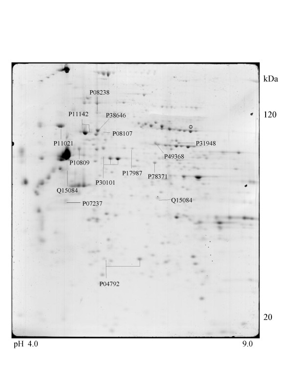 Figure 13