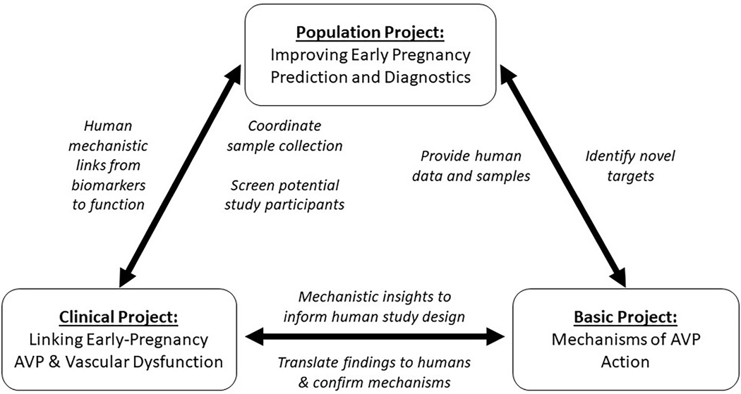 Figure 4: