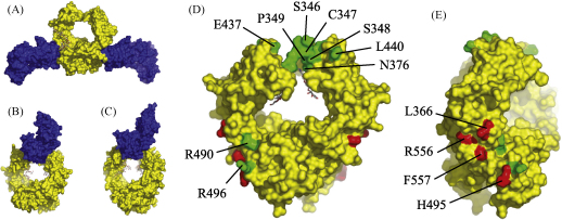 Fig. 1