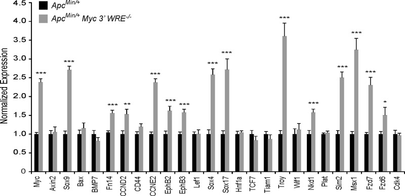 FIG 2