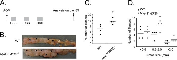 FIG 5