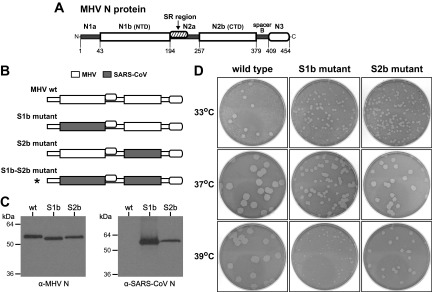 FIG 1