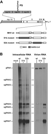 FIG 7