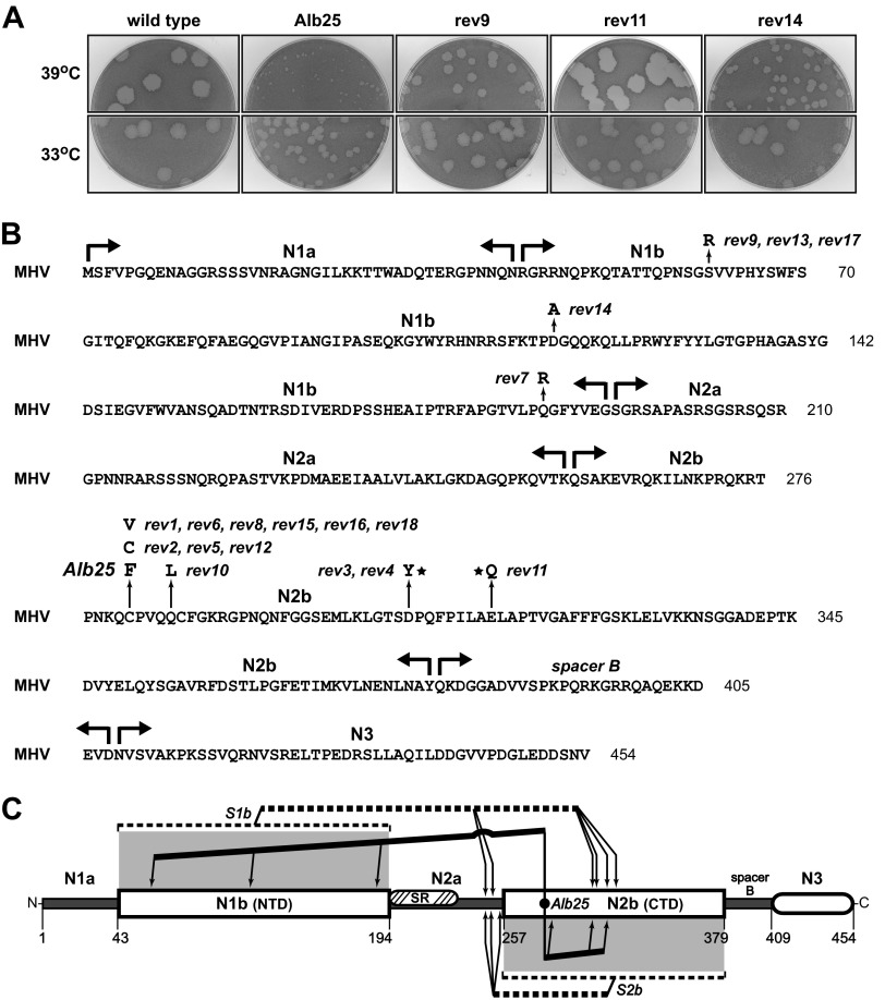 FIG 4