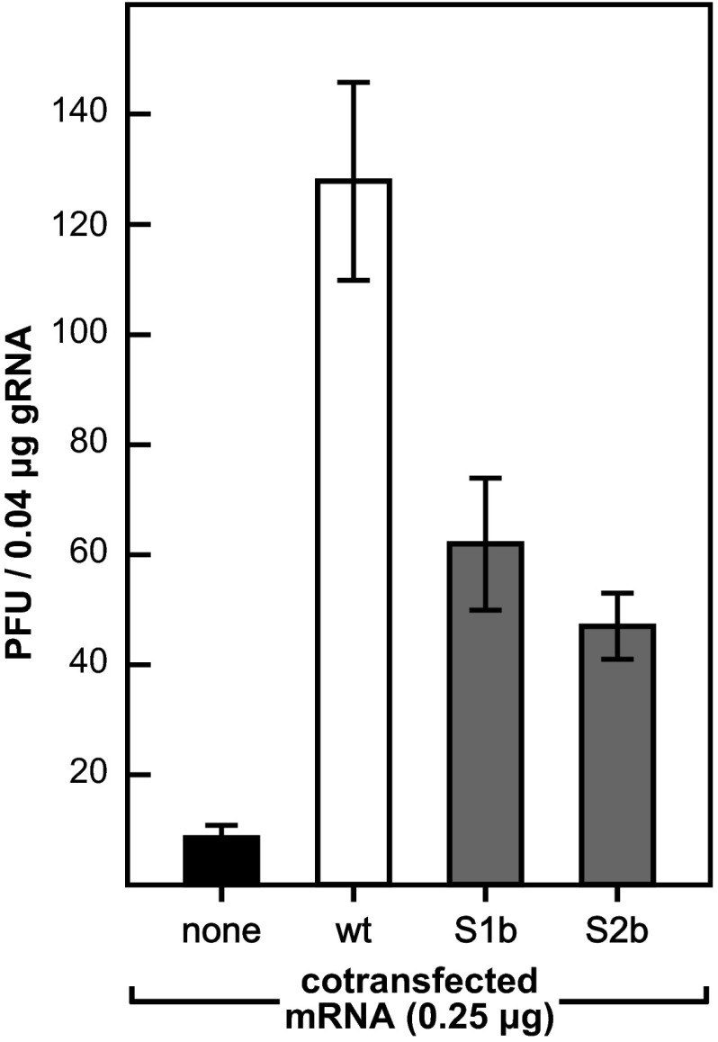 FIG 6