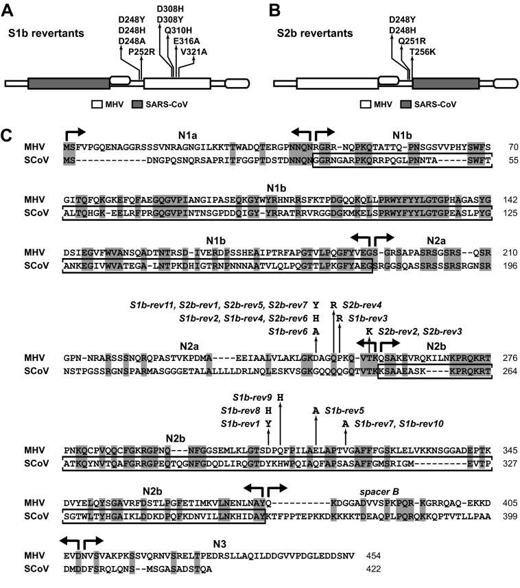 FIG 2