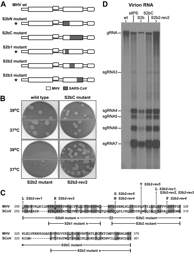 FIG 9