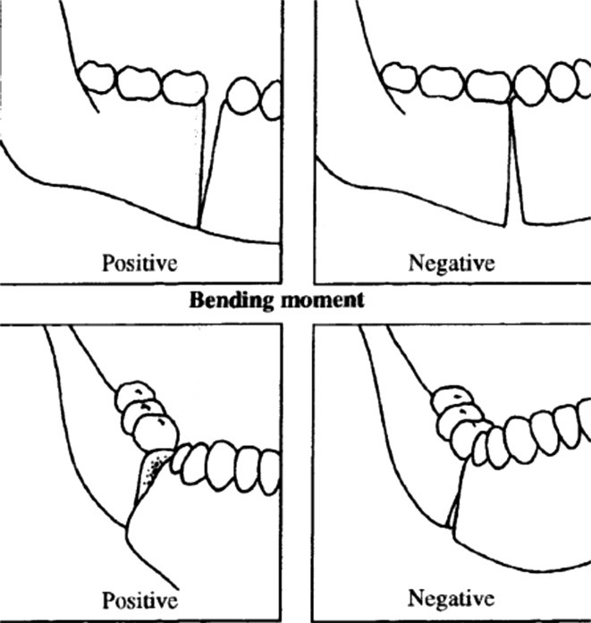 Fig. 7