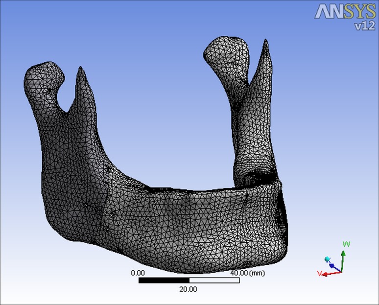 Fig. 4