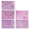 Fig. 8