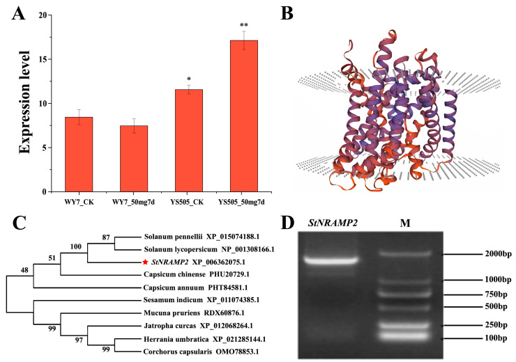 Figure 4