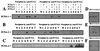 FIG. 5.