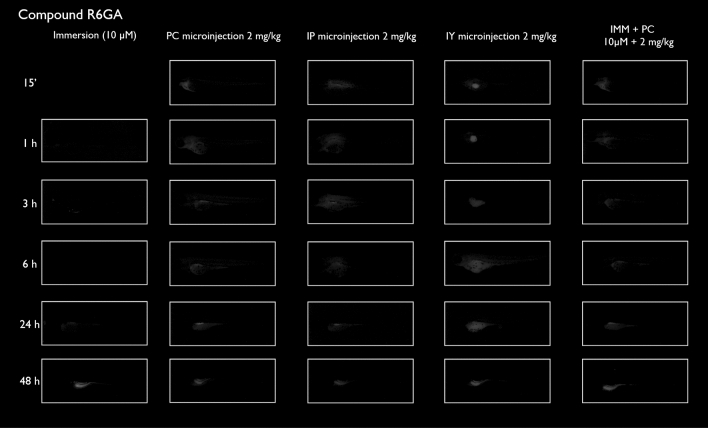 Figure 6