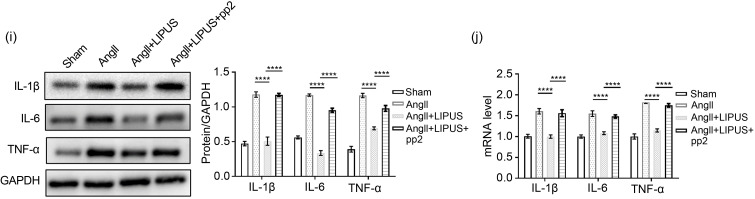 graphic file with name JZhejiangUnivSciB-22-10-818-g007.jpg