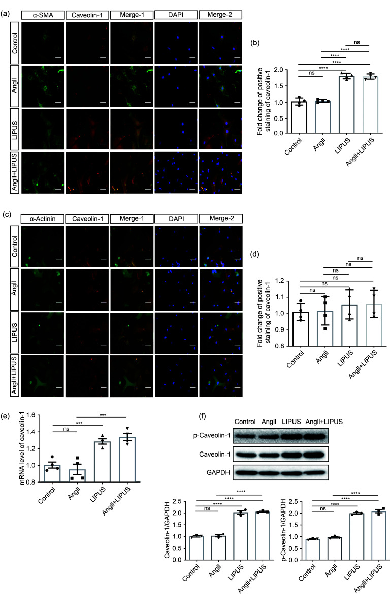 graphic file with name JZhejiangUnivSciB-22-10-818-g005a.jpg