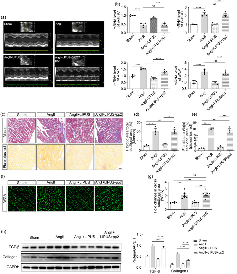 graphic file with name JZhejiangUnivSciB-22-10-818-g006.jpg