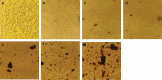 Fig. 9