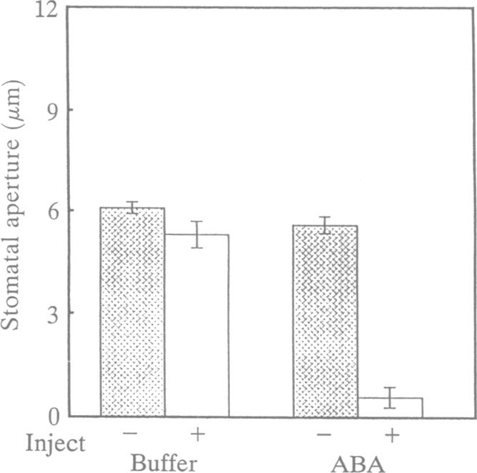 graphic file with name pnas01131-0554-a.jpg