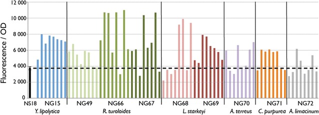 Fig. 2