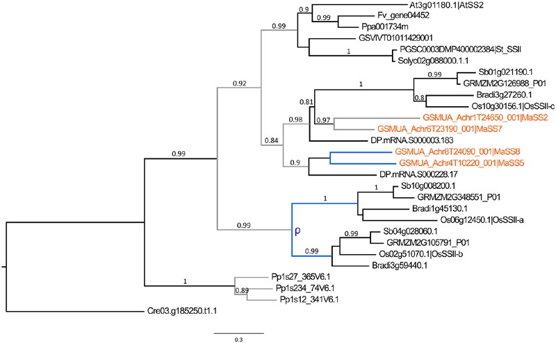 FIGURE 4