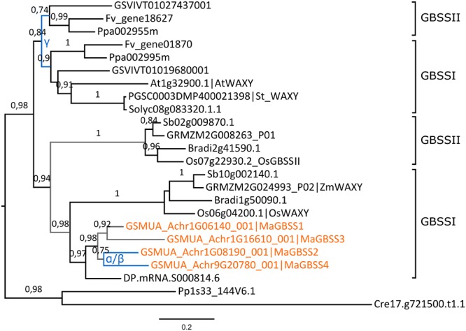 FIGURE 3